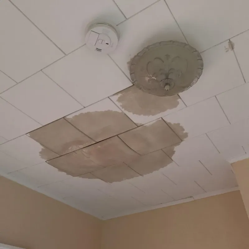 Ceiling Water Damage Repair in Lancaster, NH