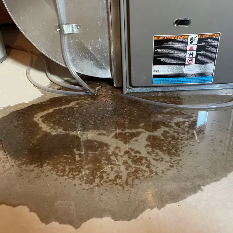 Pipe Burst and Leak Restoration in Lancaster, NH